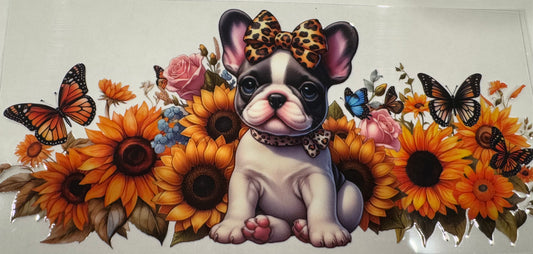 Frenchie dog